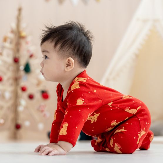 Baby Organic Sleepsuit in Christmas Puppy Print (Personalisable)